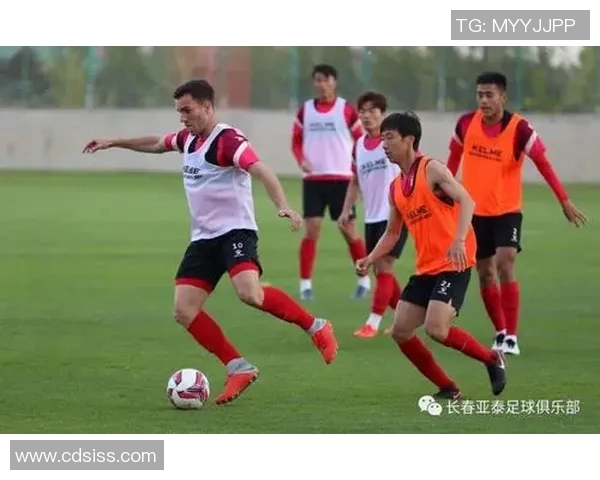 成都网球队区域防守战术解析与实战应用探讨