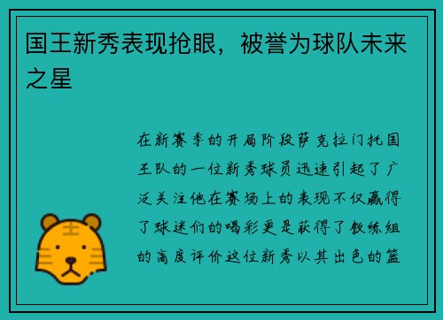 国王新秀表现抢眼，被誉为球队未来之星